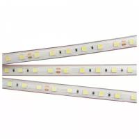 Лента RTW 2-5000PS 24V Warm3000 2x (5060, 300 LED, LUX) (arlight, 14.4 Вт/м, IP67)