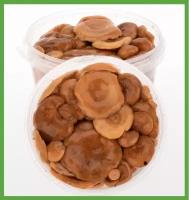 Рыжики соленые 2шт х 500мл лесные рыжики грибы вкусные грибы Дом Грибов