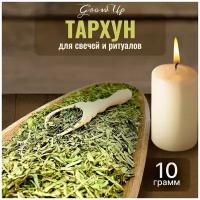 Сухая трава Полынь эстрагонная (Эстрагон, Тархун) для свечей и ритуалов, 10 гр