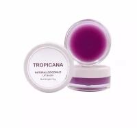 Кокосовый бальзам для губ Шелковица Tropicana, 10 гр