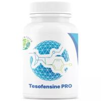 Жиросжигатель Tesofensine pro