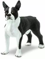 Фигурка животного Safari Ltd Собака Бостон-терьер, для детей, игрушка коллекционная, 255029