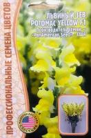 Семена Львиного зева (Антирринума) (Antirrhinum majus Potomac) Potomac Yellow F1 (5 семян)