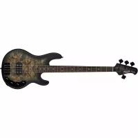 STERLING RAY34PB-TBKS-R2 бас-гитара StingRay with Poplar Burl Top in Trans Black