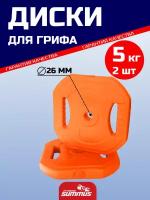 Диски для грифа пластик/цемент Summus 2 шт по 5 кг, d=26мм, арт.600-022