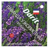 Семена цветов Лаванда узколистная "Прованс", Мн, DARIT 0,1 г в комлпекте 3, упаковок(-ка/ки)