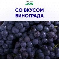 Детская зубная паста LION «KIDS SAFE» от 3-х до 12 лет, со вкусом винограда×2шт