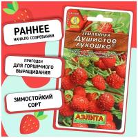 Земляника Душистое лукошко, подходит для выращивания на балконе