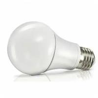 Лампочка светодиодная 30W E27 A80 6500K 220V (LED PREMIUM А80-30W-E27-WW) Включай