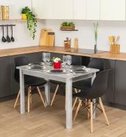 Стол кухонный нераздвижной Альфа ПР СБ 04 СБ, столешница ЛДСП, нераскладной, серый графит