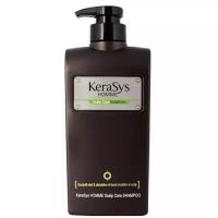 KeraSys Шампунь для волос мужской для лечения сухой кожи головы - Homme scalp care, 550мл