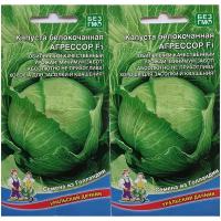 Капуста Агрессор F1, 2 упаковки по 12 семян, Самая популярная (Уральский Дачник)