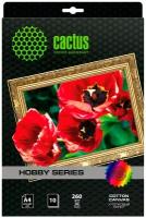 Холст Cactus CS-CA426010