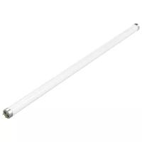 Светодиодная лампа Gauss LED Elementary T8 Glass 600mm G13 10W 780lm 4000K 1/30