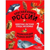 Красная книга России: все о жизни дикой природы