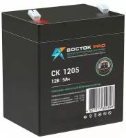 Аккумулятор восток PRO CK-1205