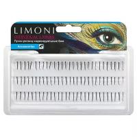 Limoni Пучки ресниц Individual Lashes 8 мм