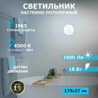 Светильник REXANT серии ЖКХ накладной LED 8 Вт ударопрочный светодиодный с датчиком движения, 174 мм