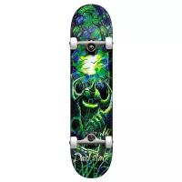 Скейтборд DARKSTAR Levitate Fp Soft Wheels Green 8 2021