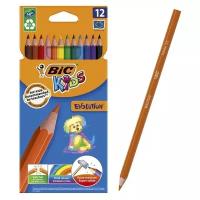 Карандаши пластиковые 12цв BIC Kids Evolution ECOlutions, 829029 1314703