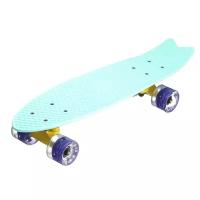 Пенни Борд Fish Skateboards 22" Мятный Рыба Led