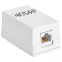 Розетка для интернета / телефона NETLAN EC-UWO-1-UD2-WT-10