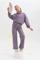Брюки Шалуны, размер 42, 164, фиолетовый