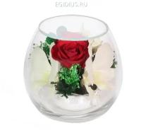 Цветы в стекле: Композиция из роз и орхидей 200-251