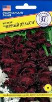 Колеус Черный дракон. Семена. Экзотическое растение высотой 30-35 см. Зазубренные листья с необычным глубоким красным цветом и пурпурно-черным краем