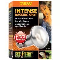 Лампа Exo Terra Reptile Intense basking spot 75 Вт 63mm /для естественной терморегуляции тела у рептилий/