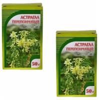 Астрагал перепончатый трава, чайный напиток 50 гр (Хорст) 2 шт. в наборе