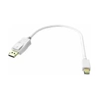 Видео адаптер mini DisplayPort на DisplayPort L-PRO белый