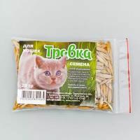 Семена травка для проращивания, "Эльф", для кошек, пакет, 20 г