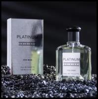 Today Parfum туалетная вода Platinum Original