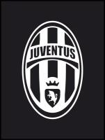 Наклейка на авто "FC Juventus" 20х12 см
