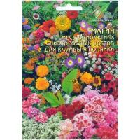 "Смесь однолетних низкорослых цветов Магия, 5 гр семян"