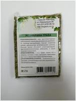 Розмарин обыкновенный, трава 50гр Качество трав (Rosmarinus officinalis)