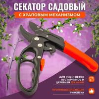 Садовый секатор с храповым механизмом