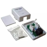 Розетка TWT настенная 1 порт RJ-45 категории 5е. UTP. белая TWT-SM1-45-WH