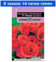 Семена. Примула "Ромио красная F1", махровая, Фарао (10 пакетов по 3 штуки)