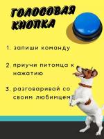 Кнопка для дрессировки собаки и кошки / кликер для питомца, запись голоса и лакомство, для домашних животных, умная собака / синяя