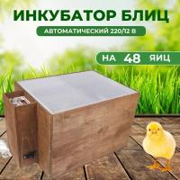 Инкубатор Блиц-48 220/12 В