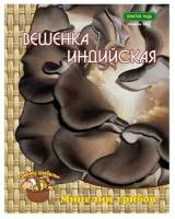 Мицелий Вешенка Индийская 12 шт