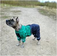 Комбинезон дождевик для собак крупных пород с регулировкой размера 70-80см Зеленый / черный