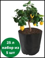 Тканевый горшок для растений Bag Pot Eco 25л, набор из 5 шт