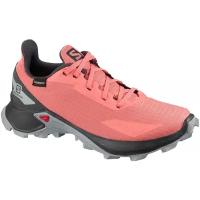 Беговые Кроссовки Salomon Alphacross Blast Cswp J Burnt Coral/Ebony/Quarry (Eur:32)