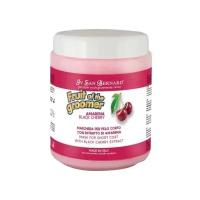 ISB FRUIT OF THE GROOMER BLACK CHERRY MASK Ив Сан Бернард маска восстанавливающая Черная вишня с протеинами шелка для короткошерстных собак и кошек (1 л)