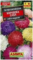 Астра Королева Сада пионовидная 0.2г смесь Одн 70см (Аэлита)