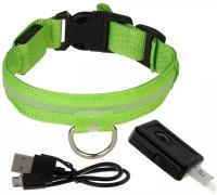 Ошейник с подсветкой, зарядка от USB, размер XS, ОШ 28-38 см, 3 режима, зелёный 1698436