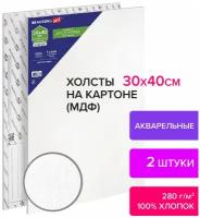 Холсты акварельные на картоне, Комплект 2 шт., 30х40 см, 280 г/м2, грунт, хлопок, Brauberg Art, 880342